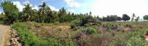 Freehold Beachfront Land