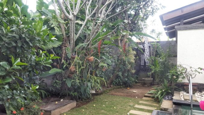 3 Bedroom Freehold Villa in Canggu