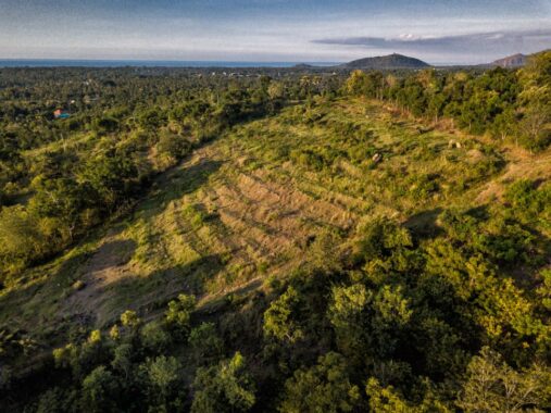 Freehold Land in Sumberkima Hill North Bali